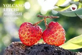 啊，真香！海口火山荔枝的创意吃法又上新啦→图片