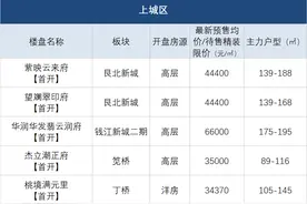 六月14个入市楼盘均价不到3万元/㎡，300万有这些能挑图片