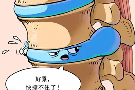 「漫绘科普」老人身高“缩水”之谜图片