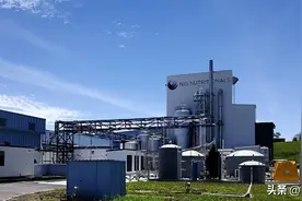 高端进口羊奶粉品牌10强,倍恩喜品质出众引领纯羊新时代图片
