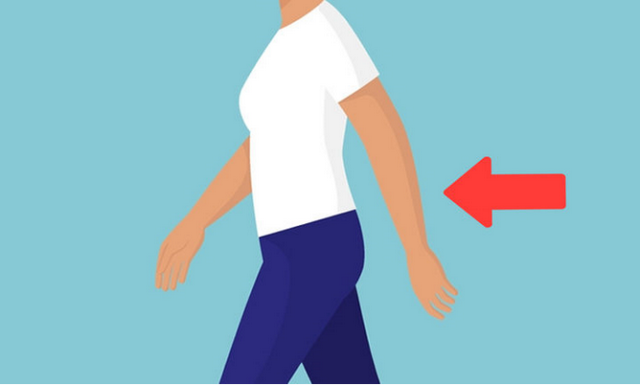 肢体是哪些部位图片,身体和大脑,是谁在支配谁? - 冷求网