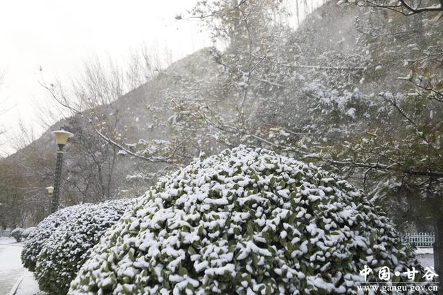 【美丽甘谷】雪落大像山！千年名山裹银纱 尽显冬日韵致