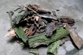 养花想根系好，配土“颗粒”不能少，这4种随处可见，而且不花钱图片