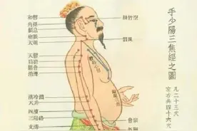 十二正经之手少阳三焦经，动态循行，干货分享图片