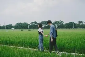乡村故事：复婚（上）图片