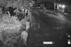 荒郊野外开设流动赌场，湖州警方破获聚众赌博案图片