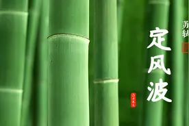 苏轼《定风波》：见自己，见天地，见众生图片