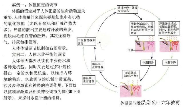 高中生物重要生化知识图解记忆（建议收藏）