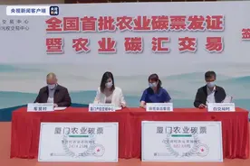 从广东到福建，解读村民“卖空气”的致富秘招图片