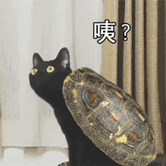 全国试点！成都！