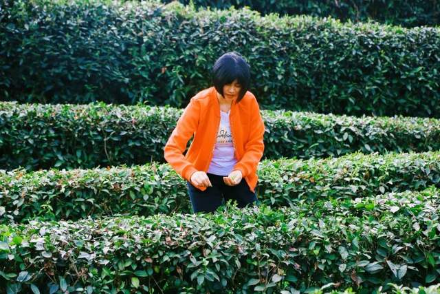 四川省民生研究会新媒体中心-官网