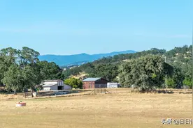 说一说美国现代农民的喜与忧图片