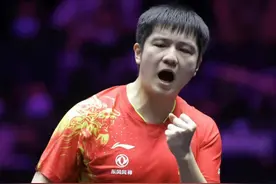 央视直播！10月28日世乒联世界杯决赛8强赛出炉，樊振东不容有失图片