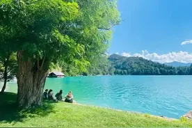 距离产生美不是惟一图片