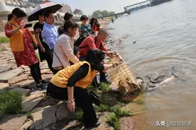 为什么放生不能为家人添福增寿、保佑自己升官发财？图片