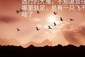 爱需要表达：在生命的尽头，别让我们的爱缺位纠结图片