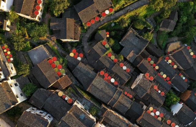 绝密对话丨为什么你的项目会亏钱?——病毒营销篇