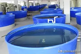 塑料桶可以养鱼吗？塑料桶养鱼的6大问答！看看专家怎么说？图片