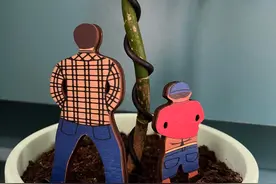 看网友晒老公买的“离谱玩意儿”，看完，一个个笑不活了！图片