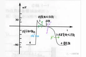 心电图九九八十一难之十七ST段变化与心肌梗塞图片
