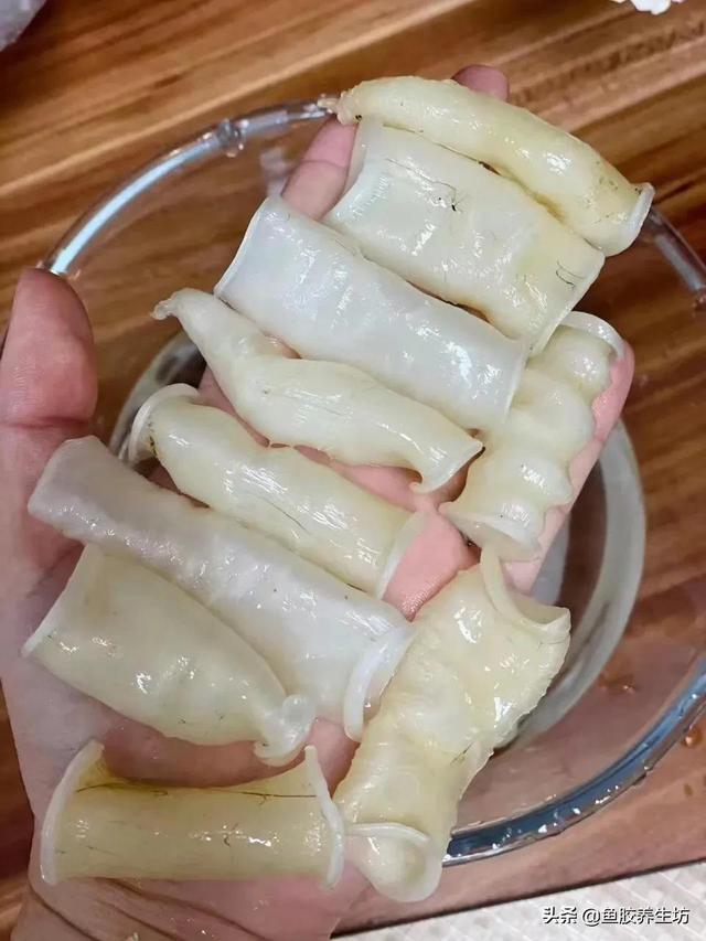 黄门鳝肚花胶怎么做 2026年黄门鳝胶与花胶的区别