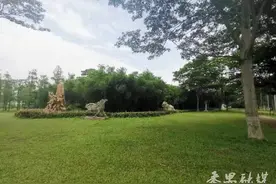 赏江岸美景 品雕塑艺术！广州大学城梁明诚雕塑园成市民踏青露营胜地图片