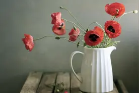 再好的关系，也不要说这几种话图片