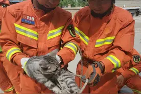 今日，一调皮小喵被困墙缝，银川消防暖心救援。图片