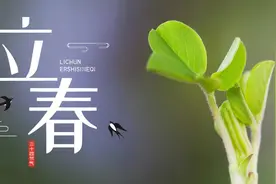 立春将至！老话说：一年两个春，带毛贵如金，为啥带毛的这么贵？图片