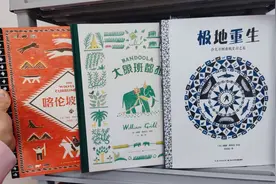 从绘本过渡到文字书，教你几个给一二年级孩子选书的基本原则图片