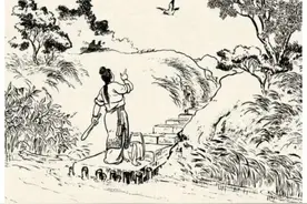 80后小时候才听过的民间故事之《鸪鸪鸟的传说》图片