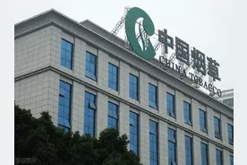 哪些专业可以报考吉林烟草局？图片