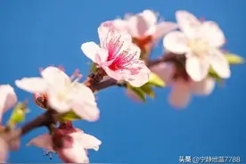 颜值排名前三的星座内外兼修图片