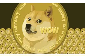狗狗币，玩笑梗图到百亿货币的发展史图片