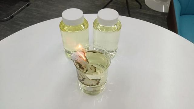 想创业,做什么项目,成功率更高?