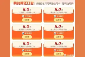 双11剁完手，各路还款姿势暴力回血图片