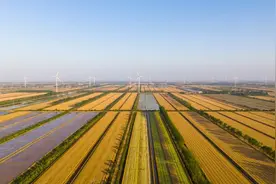 标准绿色科技三轮驱动 加快建设农业领域航母——推进新洋农场农业现代化建设的调研与思考图片