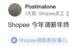 Shopee员工：今年调薪年终真抠，B+ 3个月 调薪不到10%图片