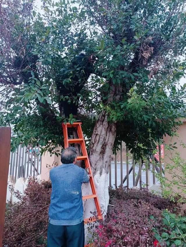 四川省民生研究会新媒体中心-官网
