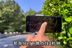 教你拍出虚实对比的效果#手机摄影图片