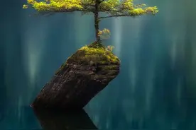 网友才是最佳摄影师，一起来看看网友们拍到的绝美照片图片