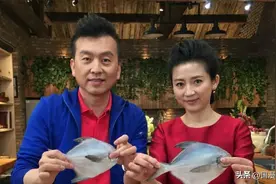 主持人张泽群：扎根央视27年绯闻不断，55岁老来得子，妻子成谜！图片