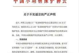 有人让潘宏拿100万“平事”？中国小动物保护协会回应图片
