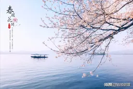 文案局｜春暖花开疫情散去的文案图片