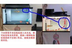 鱼缸下水口噪音大怎么解决图片