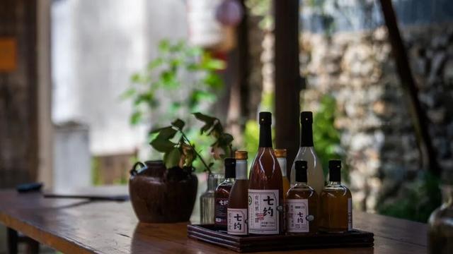 黄山奇遇记：冬观候鸟，野探短尾猴，一场徒步自然的探索之行