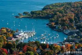 报告称，到2050年，气候变化可能导致美国海平面上升一个世纪图片