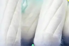 女生为什么不敢使用卫生棉条？图片