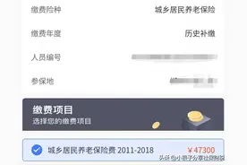 湖南补缴城乡居民养老保险支持全程线上办理！不用去线下！图片