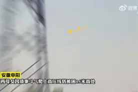 母女吵架双双爬上15米高塔被困图片
